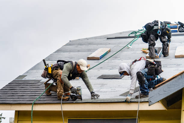 Professional Storm Damage Roof Repair technician working in Gerton, NC