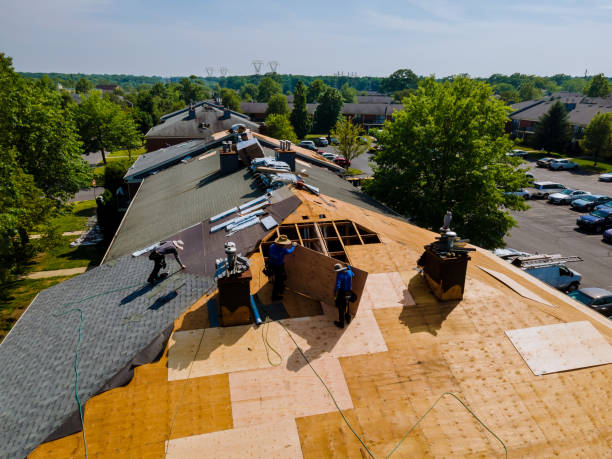 24/7 Emergency Storm Damage Roof Repair experts in Gerton, NC